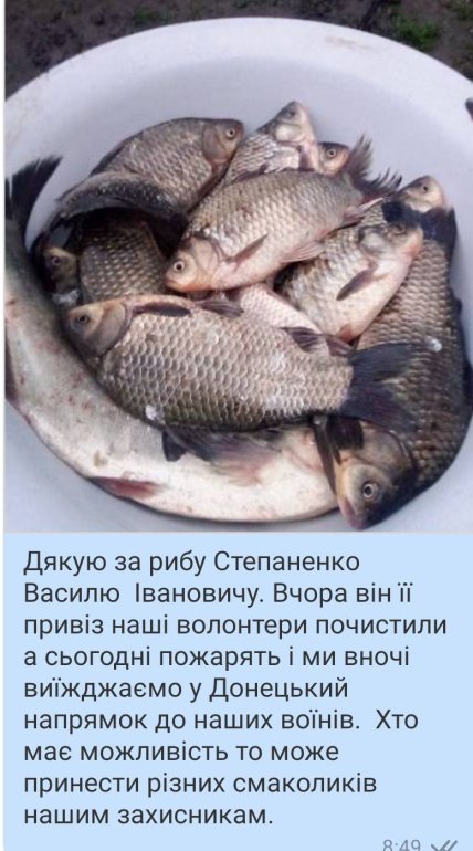 риба
