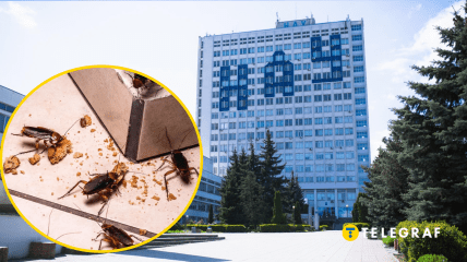 Антисанітарія в столичному виші